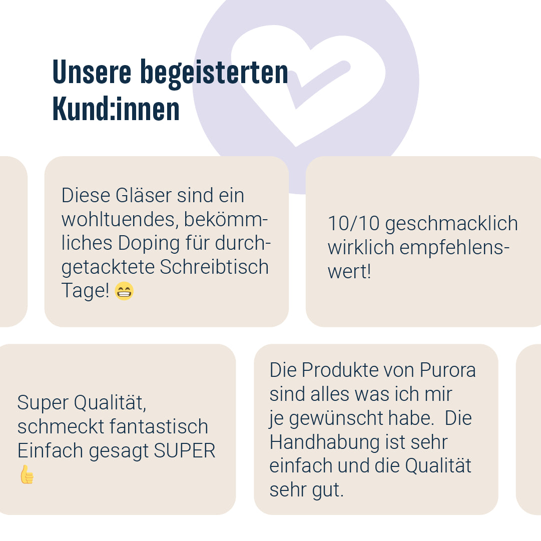 PORRIDGE PLUS - Wildheidelbeere, Apfel, Guarana