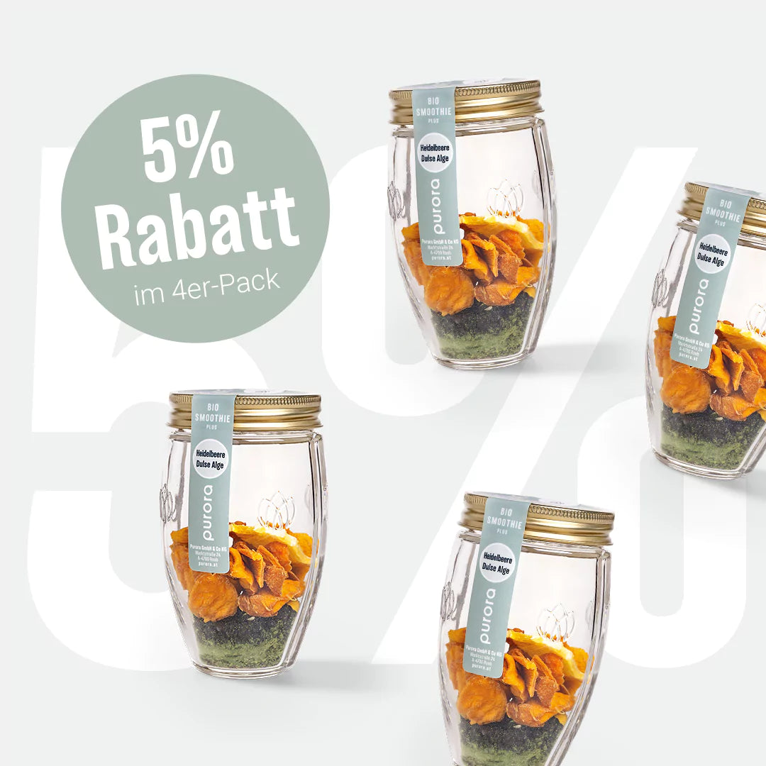 DTX SMOOTHIE PLUS - Wildheidelbeere, Spirulina, Dulse Alge