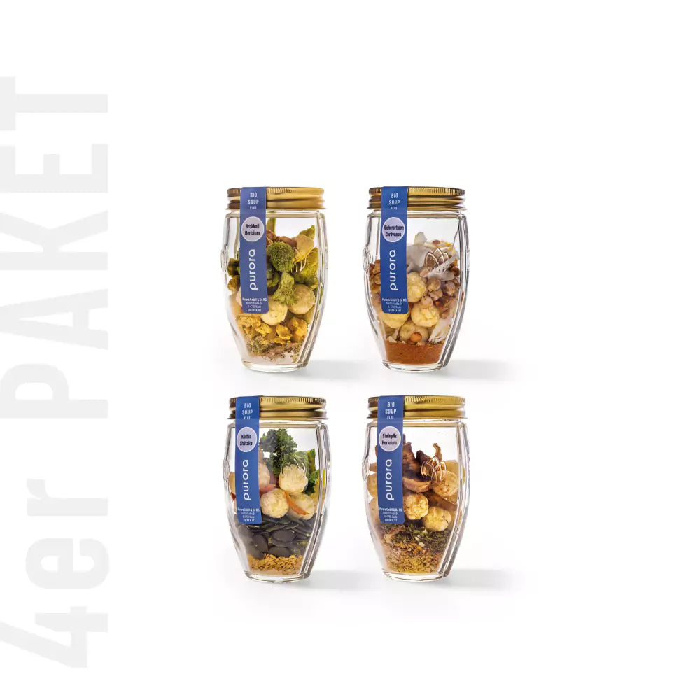SOUP PLUS (4er Paket)
